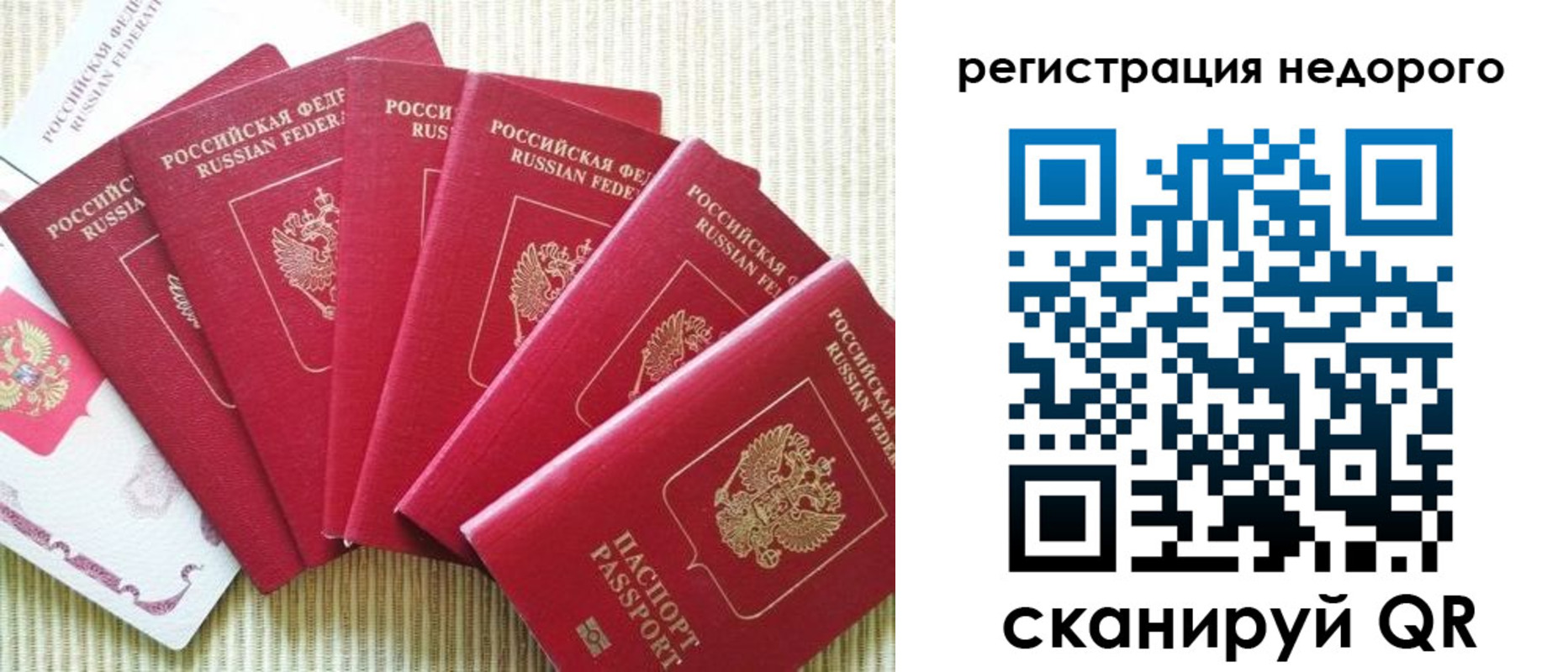 прописка 2025 в Новомосковске